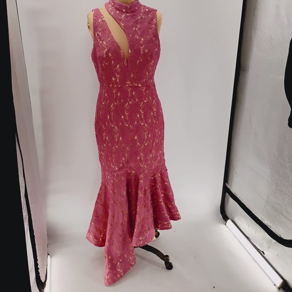 LA MAISON TALULAH FOUNDATION LACE MIDI DRESS IN TEAROSE SIZE large - $350 - Picture 15 of 16